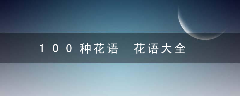 100种花语 花语大全